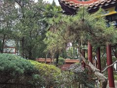 -南岳大庙