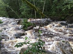 -汤旺河林海奇石景区