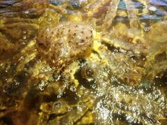 -蟹之国·精品蟹料理(极地店)