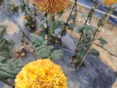 -贵州省植物园