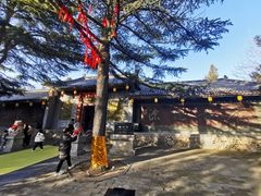 -函谷关历史文化旅游区