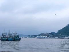 -沈家门渔港