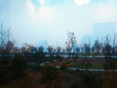 -崮乡圣水坊赵家炒鸡(花都店)