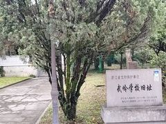 -蒋氏故居