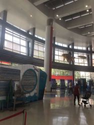 -天津市儿童医院(北辰龙岩院区)