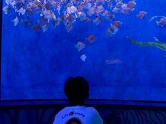 -沈阳海洋探索中心