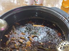 -金海椒罐罐鲢鱼(东方桂苑店)