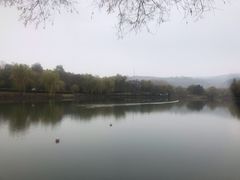-黄帝陵