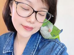 -吉丁鸟咖·异宠·寄养