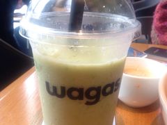 -Wagas沃歌斯(正大乐城店)