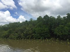 -东寨港红树林旅游区