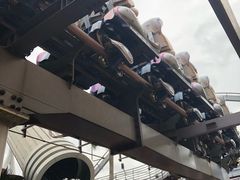 -飞天翼龙