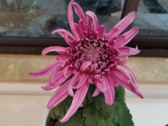 -汇龙潭