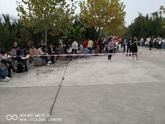 -南京理工大学紫金学院