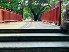 -荔湾湖公园