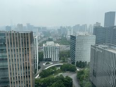 -上海漕河泾万丽酒店