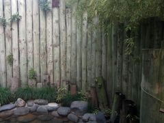 -金凤凰温泉度假村·凤凰汇中餐厅