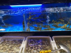 -布多斯烤肉火锅自助(江腾广场店)