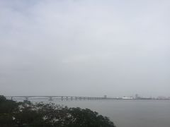 -大湾区中央湿地公园