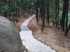 -火炉山森林公园