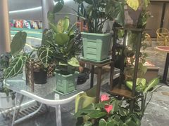 -Sips&Lick茶兰咖啡(五道口店)