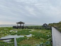 -七的湖·晚芳亭·阳澄湖农家菜·大闸蟹(莲花岛店)
