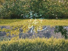 -温州永嘉书院