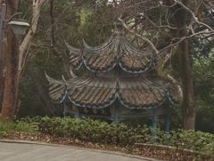 -乌山风景区