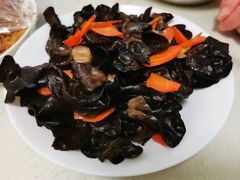 养生小木耳-村(悦海新天地店)