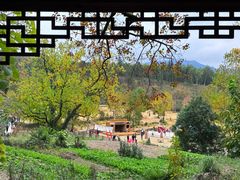 -塔川景区