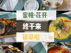 -蜜桃花开·中西融合菜E&W(南长街店)