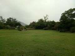 -桃花岛景观公园