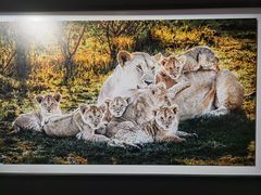 -罗红摄影艺术馆