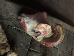 新疆阿西木烧烤-新疆玉石阿卜都烧烤(太平南路店)