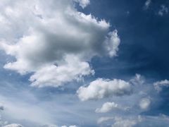 -港珠澳大桥码头