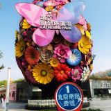因你的一个温暖举动让我爱上南京