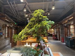-丹江渔村(首都机场店)