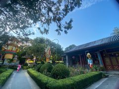 -白家大院·王府宫廷菜(苏州街店)