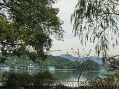 -西湖游船