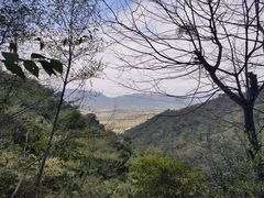 -南丹山森林王国