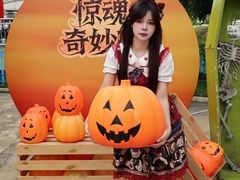 -国色天乡三期陆地乐园