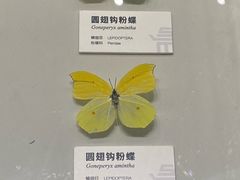 -四川大学博物馆