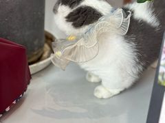 -seeu coffee(江滩店)