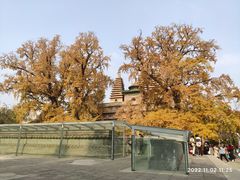 -北京石刻艺术博物馆(五塔寺)