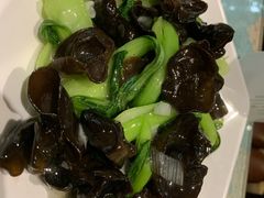 木耳炒上海青-新疆伊宁远征餐厅
