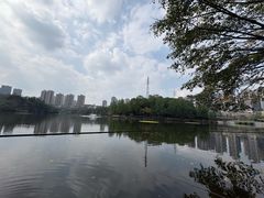 -重庆彩云湖湿地公园