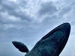 -烟台金沙滩海滨公园