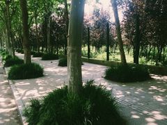 -武汉大学-樱园