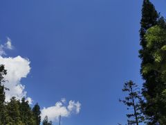 -武陵山森林公园