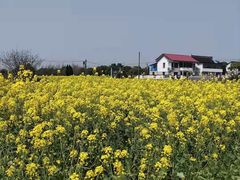 -小鱼草莓采摘园农家乐·小鱼餐厅